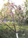 IMG_2087