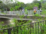 DSC00733