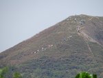 DSC00742