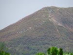 DSC00743
