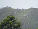 DSC00750