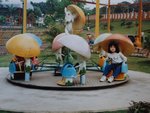 DSC06546