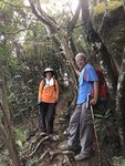 IMG_1461