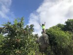 IMG_1468