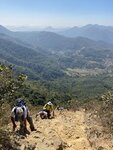 IMG_5980