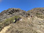 IMG_6065