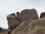 IMG_3431