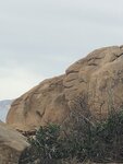 IMG_3436