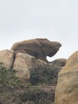 IMG_3445