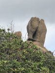 IMG_3463