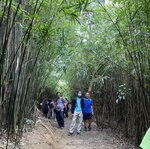 IMG_E8121