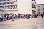 19954604