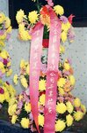 19954615