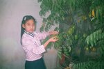 20113012