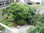 P1010632