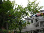 P1010655