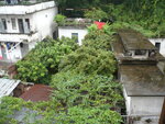 P1070068