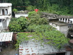 P1070083
