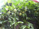 P1070086