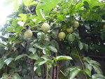 P1070087