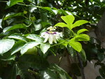 P1070125