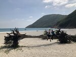 IMG_0828