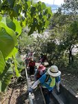 IMG_0808