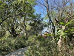 IMG_0817