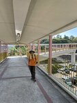 IMG_0854