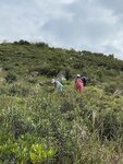 IMG_7987