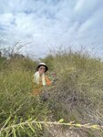 IMG_7991
