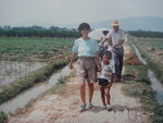 19871382