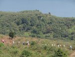 DSC07678