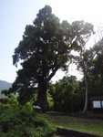 DSC03234