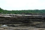 P1120690