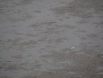 DSC00130