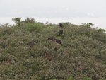 DSC04217