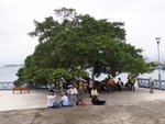 DSC04233
