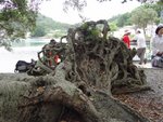 DSC04249