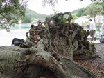 DSC04250