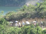 IMG_4775
