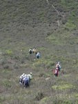 DSC01996