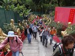 DSC06355