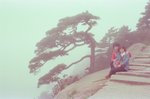 黃山 迎客松