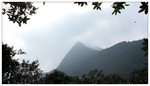 IMG_0012r[1]