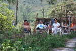 IMG_8217[1]