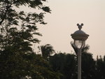 IMG_0677