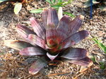 IMG_0724
