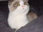 DSC00019