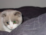 DSC00020